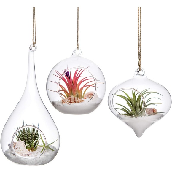 Three Boho teardrop glass terrariums - Picture 1 of 6